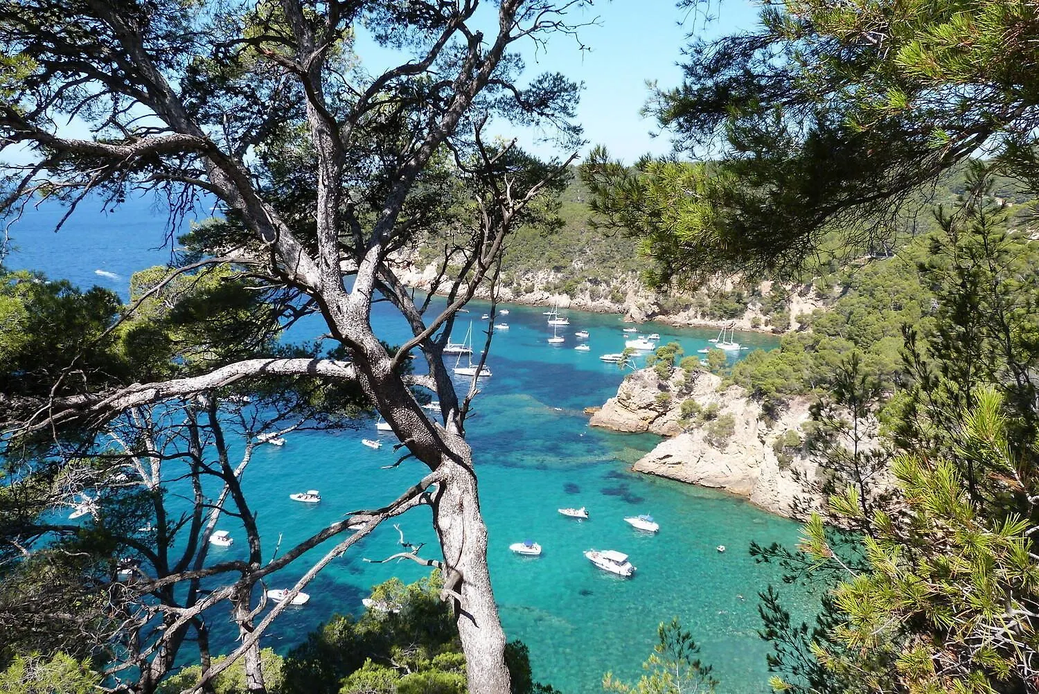 Appartement Coup De Coeur Centre Village Et Plage Climatise 3 Etoiles Terra Cigala Bandol Apartment