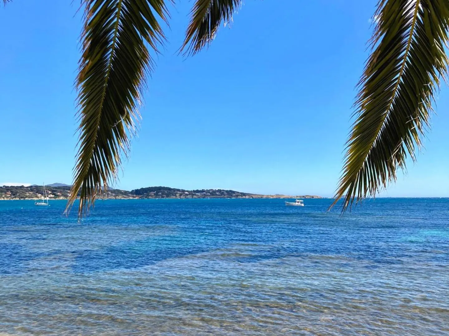 Apartment Appartement Coup De Coeur Centre Village Et Plage Climatise 3 Etoiles Terra Cigala Bandol